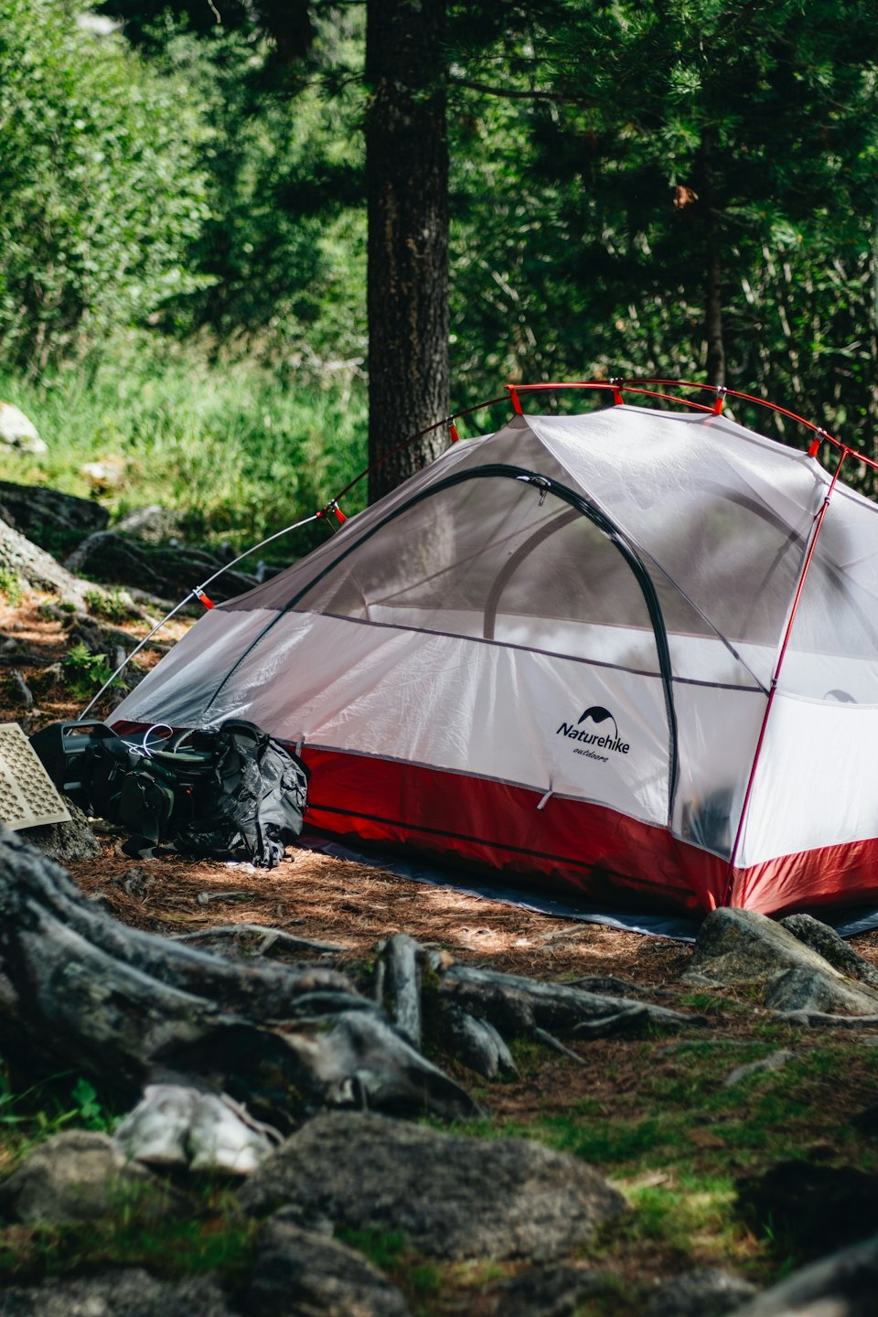 Ein weiß-rotes Campingzelt, das auf einer Lichtung im Wald steht.